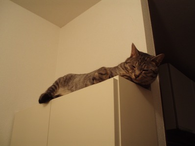 ontheshoebox