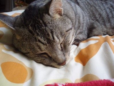 asleep