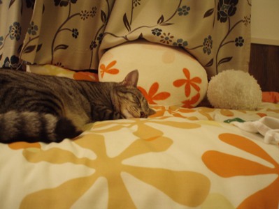 asleep