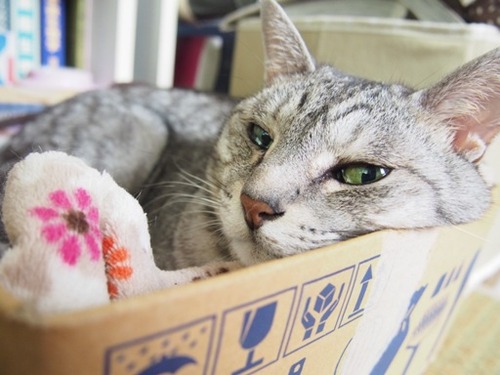 box3