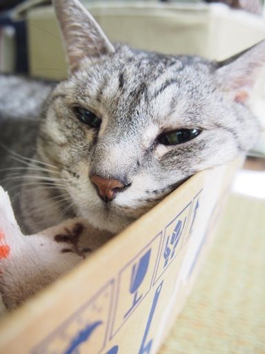 box2