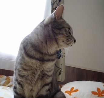 onthebed