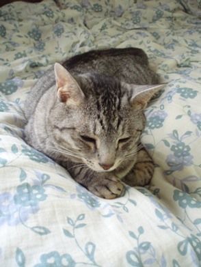 ennui