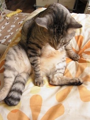futon