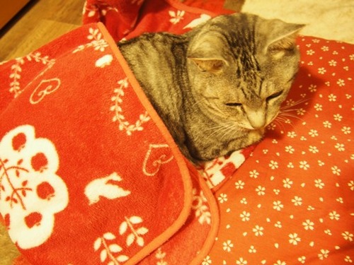 okurumi