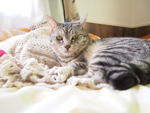 knit