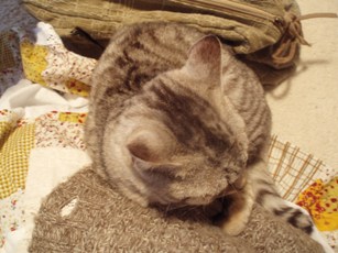 7078ef06.jpg