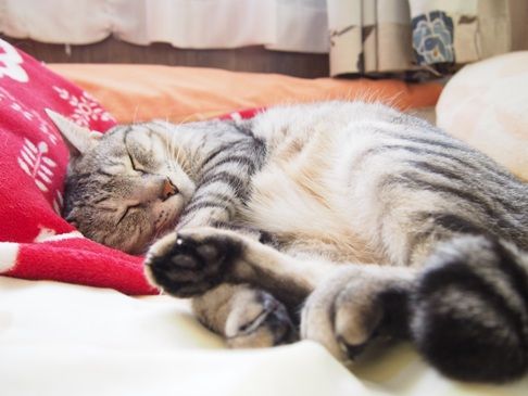 asleep