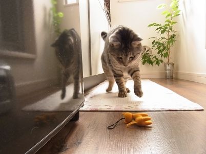playing2