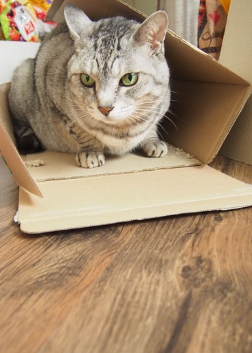 box