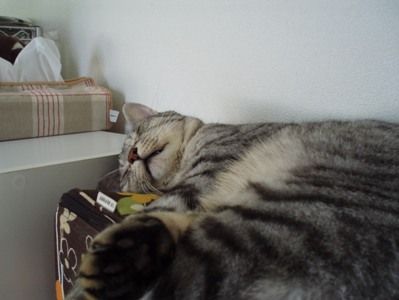 asleep