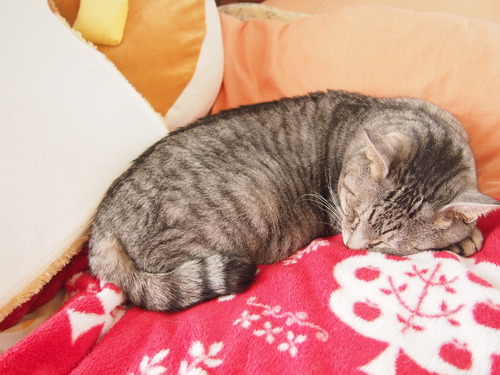 asleep