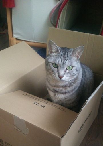 box5