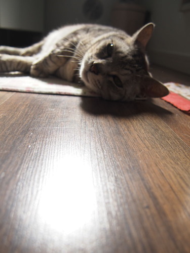 sunny