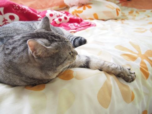 long