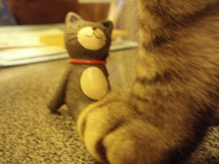 nekosan