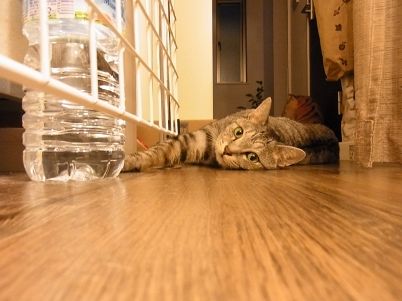 water