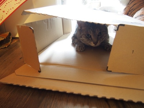 box2