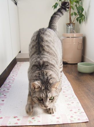 azukitchen
