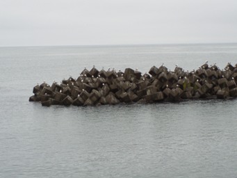 c6830191.jpg
