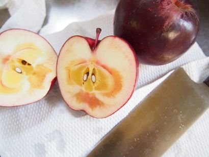 apple2