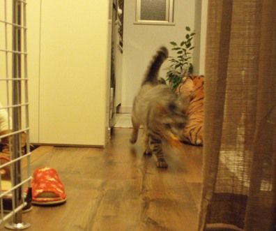 playing2