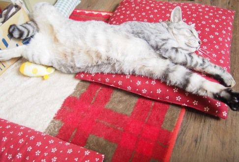 long
