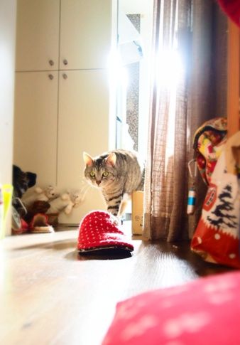 zun2