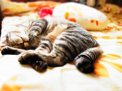maru