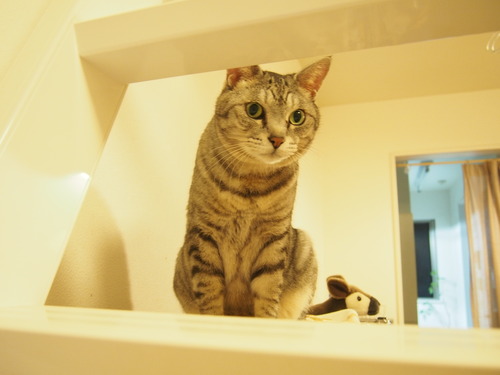 maru2