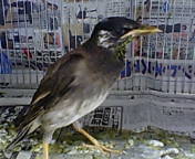 e7b484c7.jpg