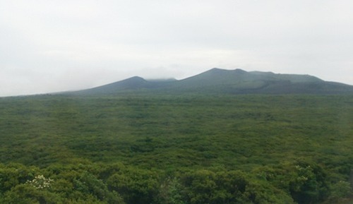 mihara