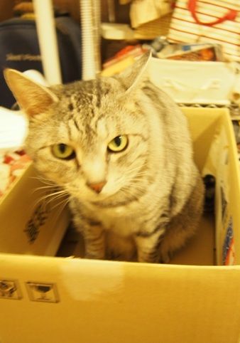 box