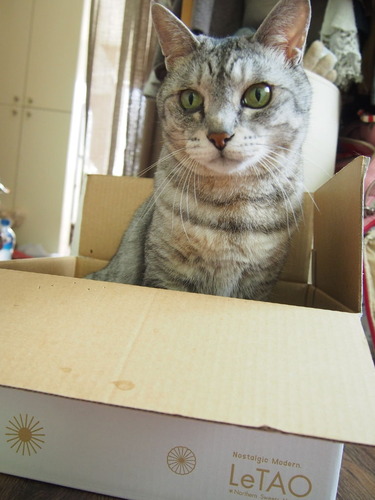 box2
