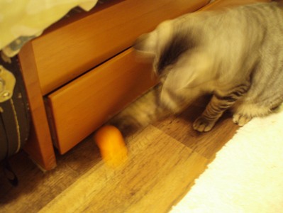 mikan