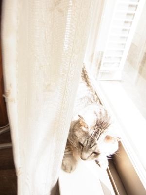 sunny