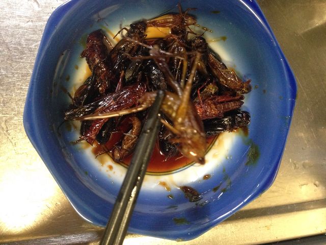 無職 道草を食う 19年08月