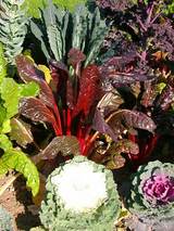 �֤��ۤ������