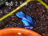 azureus09265