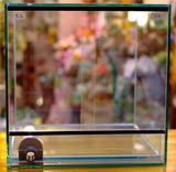 �磻��ɥ�����������