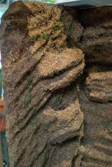 �Хå��ѥͥ�12101903