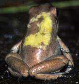 �ƥ�ӥꥹ���Ѥ��