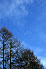 ����饤��