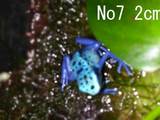 azureus09267