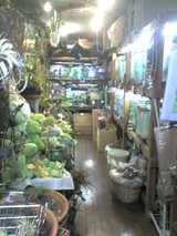 ワイルドスカイ店内3
