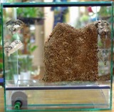 �Хå��ܡ��ɤʤɥ��åȺѤ�