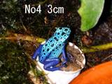 azureus09264
