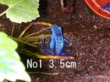 azureus09261