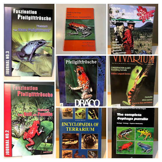 IMG_0031_1576485113304-COLLAGE