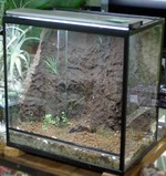 ��ɥ�������ӥХꥦ�ॱ����